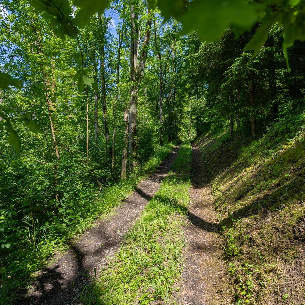 Weg zum jüdischen Friedhof Sennfeld